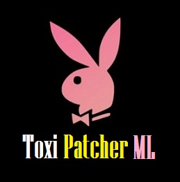Toxi Patcher